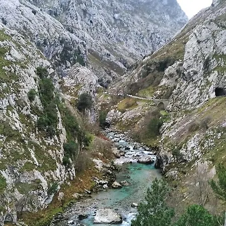 Amplio Loft Con Plaza De Garaje Apartment *